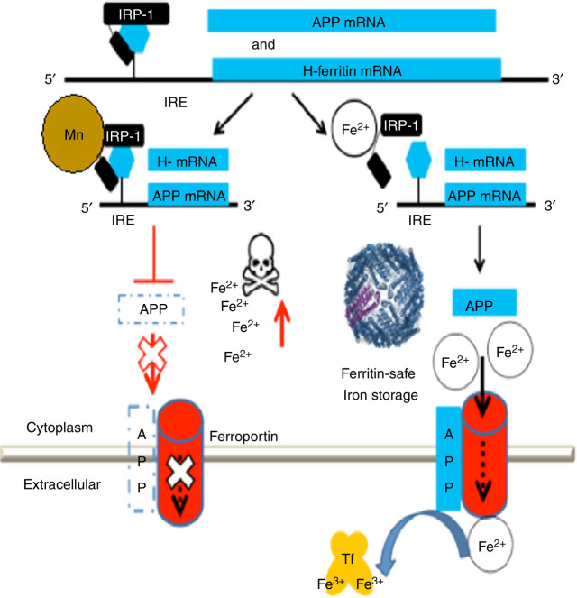 Figure 4.