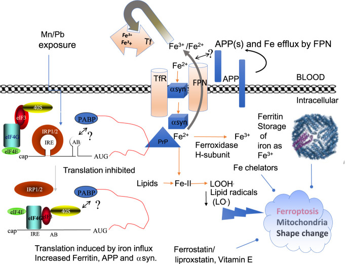 Figure 2.