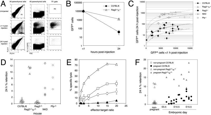 Fig 3.