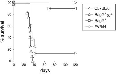 Fig 2.