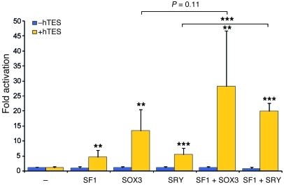 Figure 10