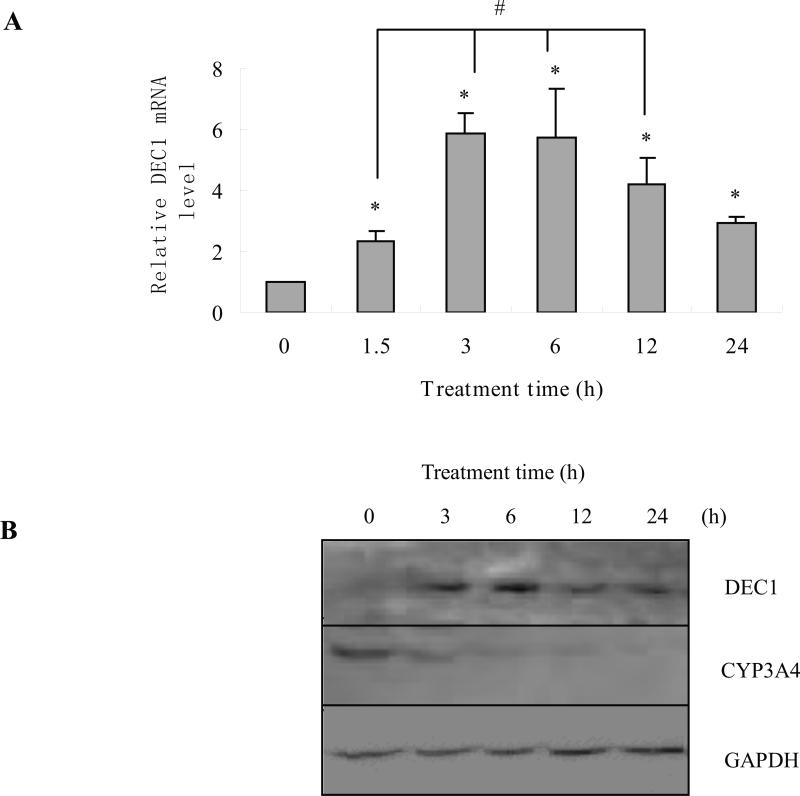 Fig.1