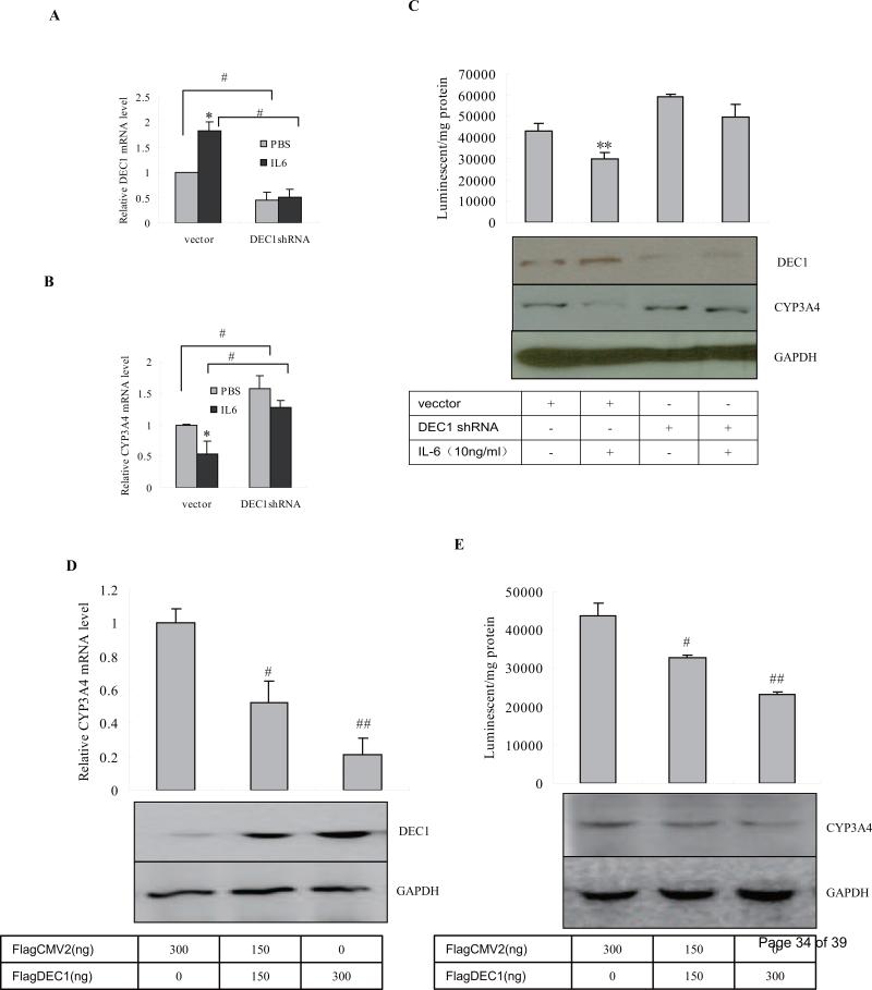 Fig.2