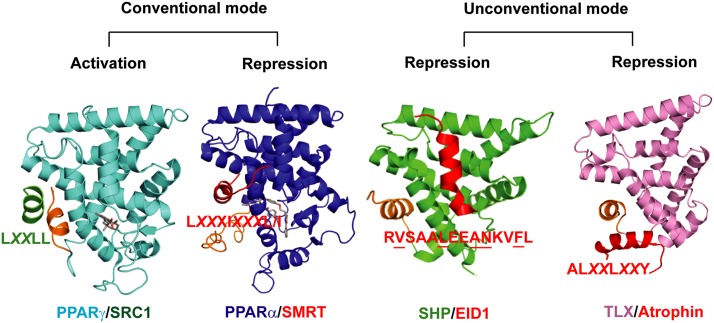 Figure 5.