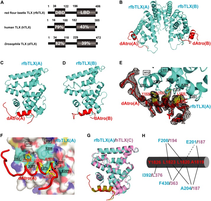 Figure 2.