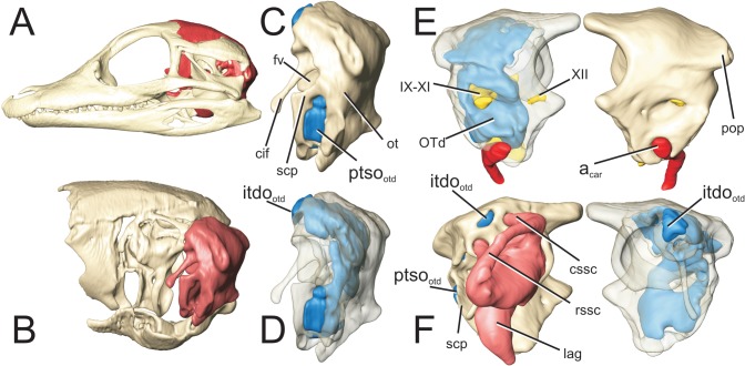 Fig 11