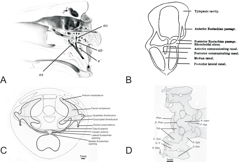 Fig 2