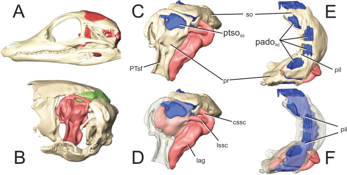 Fig 12