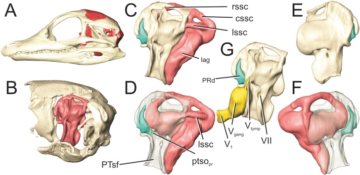 Fig 9