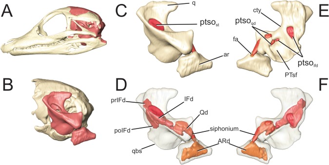 Fig 10