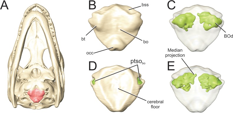 Fig 7