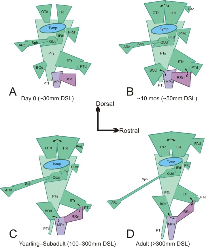 Fig 4