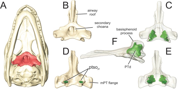 Fig 8