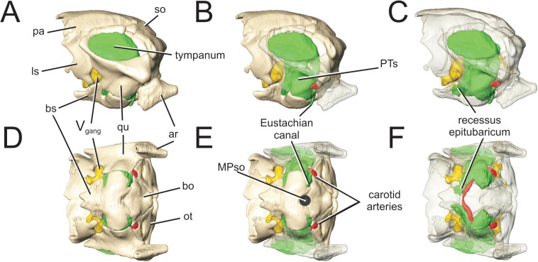 Fig 6