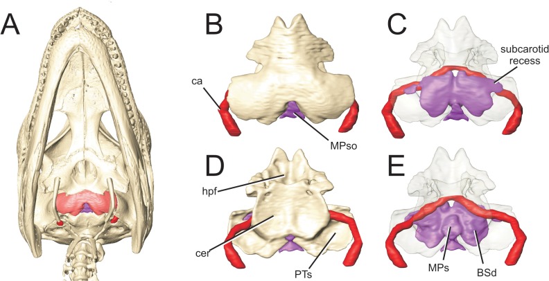 Fig 5