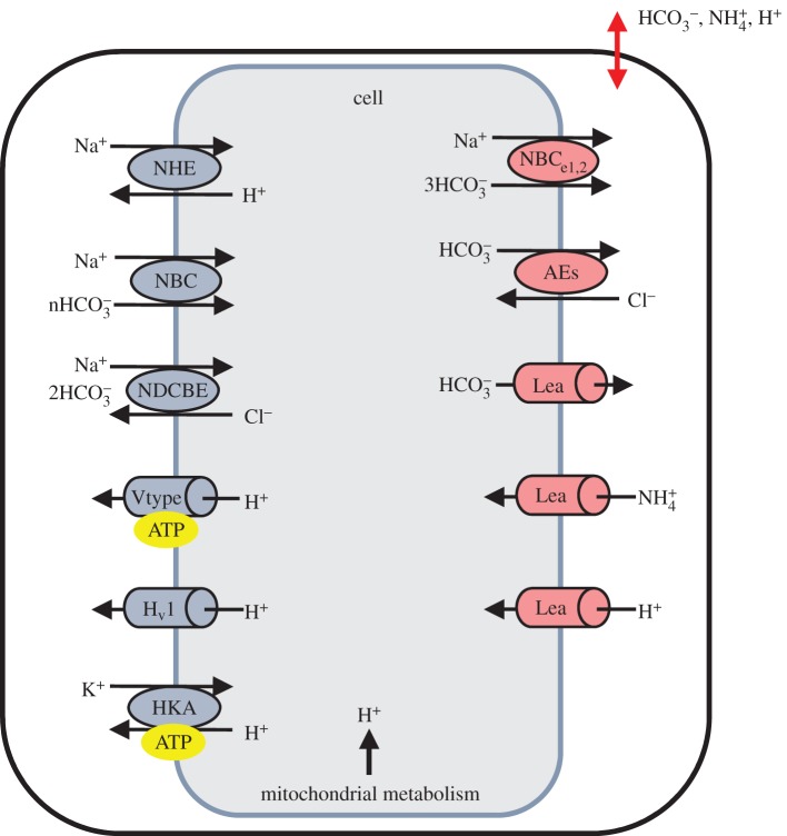 Figure 2.