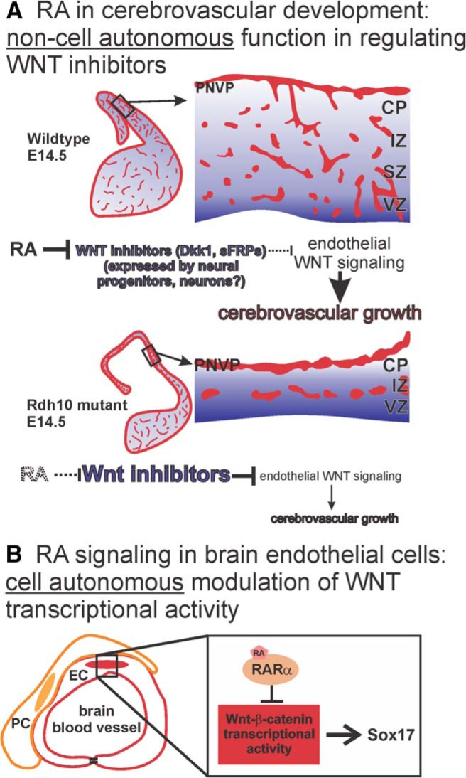 Figure 9.