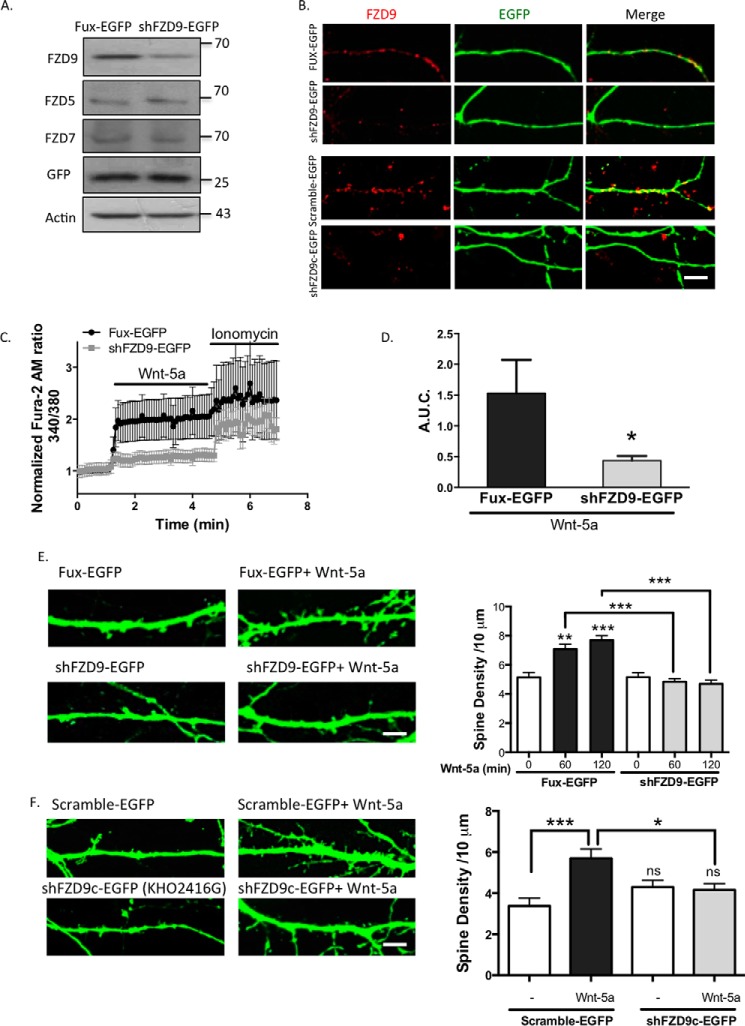 FIGURE 4.