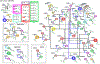 Extended Data Fig. 10 |