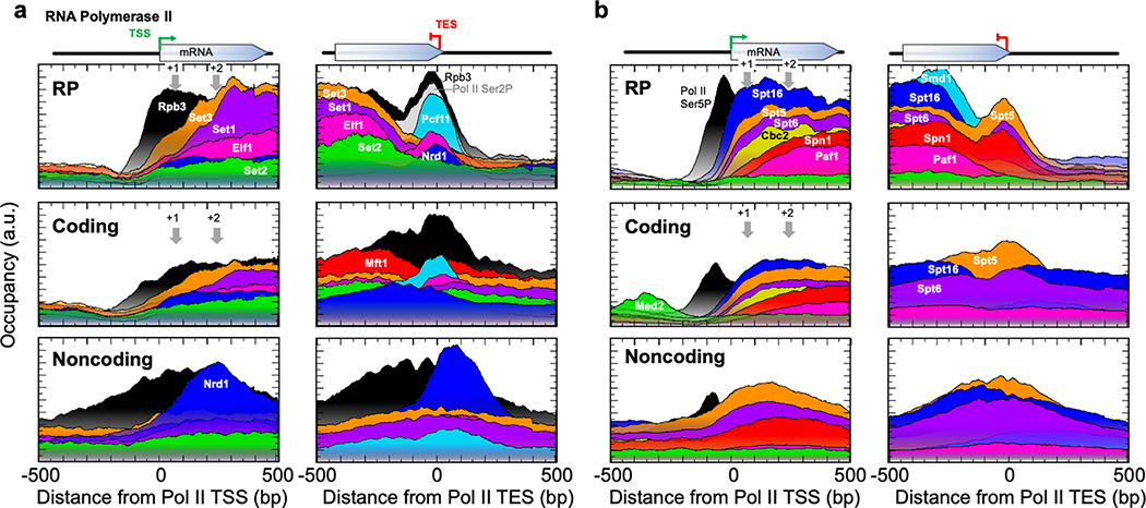 Extended Data Fig. 5 |