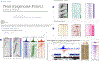 Extended Data Fig. 2 |