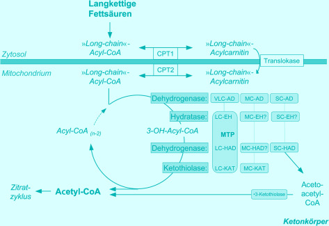 graphic file with name 978-3-642-24710-1_17_Fig16_HTML.jpg