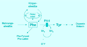 graphic file with name 978-3-642-24710-1_17_Fig15_HTML.jpg