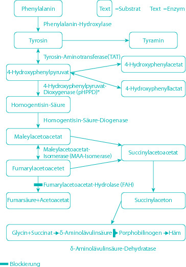 graphic file with name 978-3-642-24710-1_17_Fig7_HTML.jpg