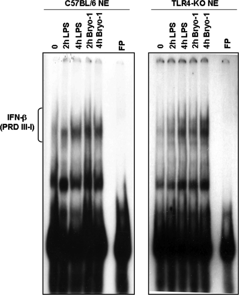 FIGURE 7.