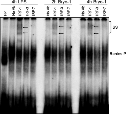 FIGURE 4.