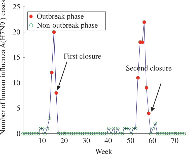 Fig. 6