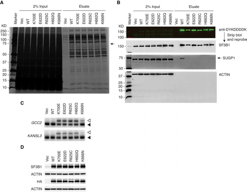 Figure 6.