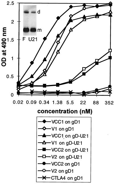 FIG. 6