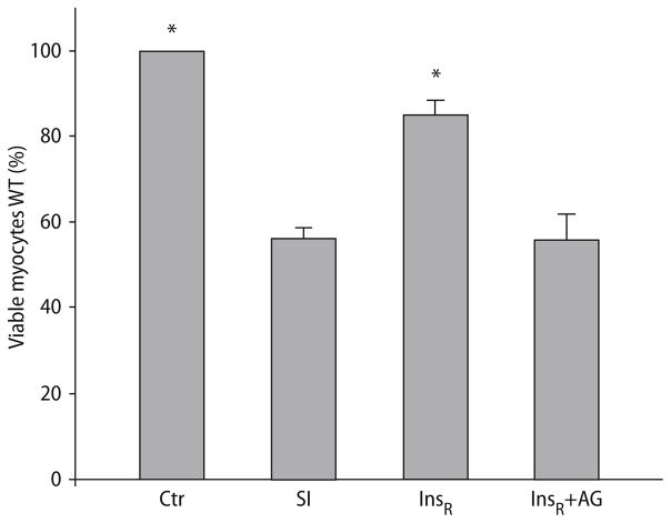 Fig. 5