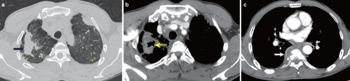 FIG. 3. a–c.