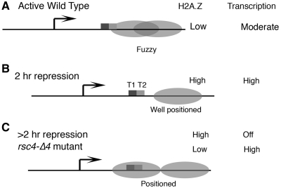 Figure 6.