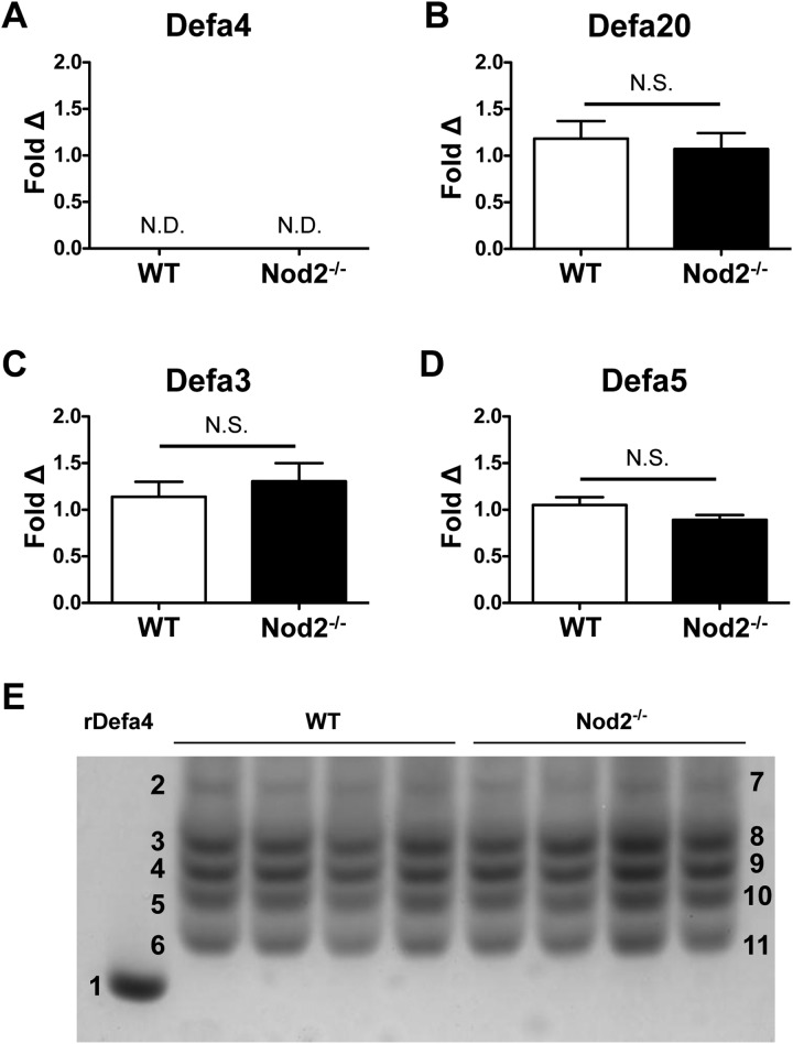 Figure 2