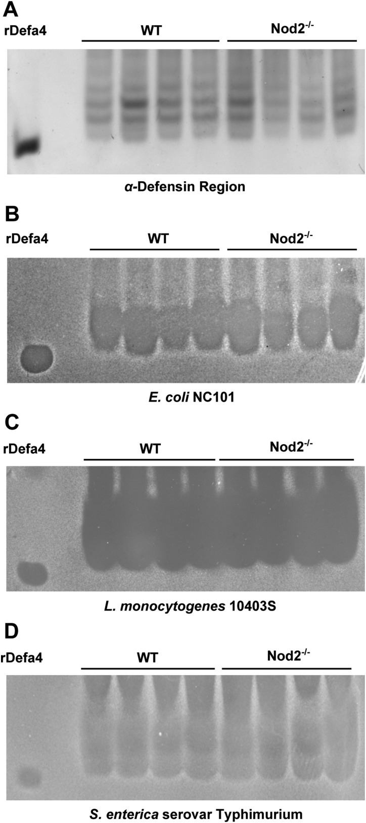 Figure 4