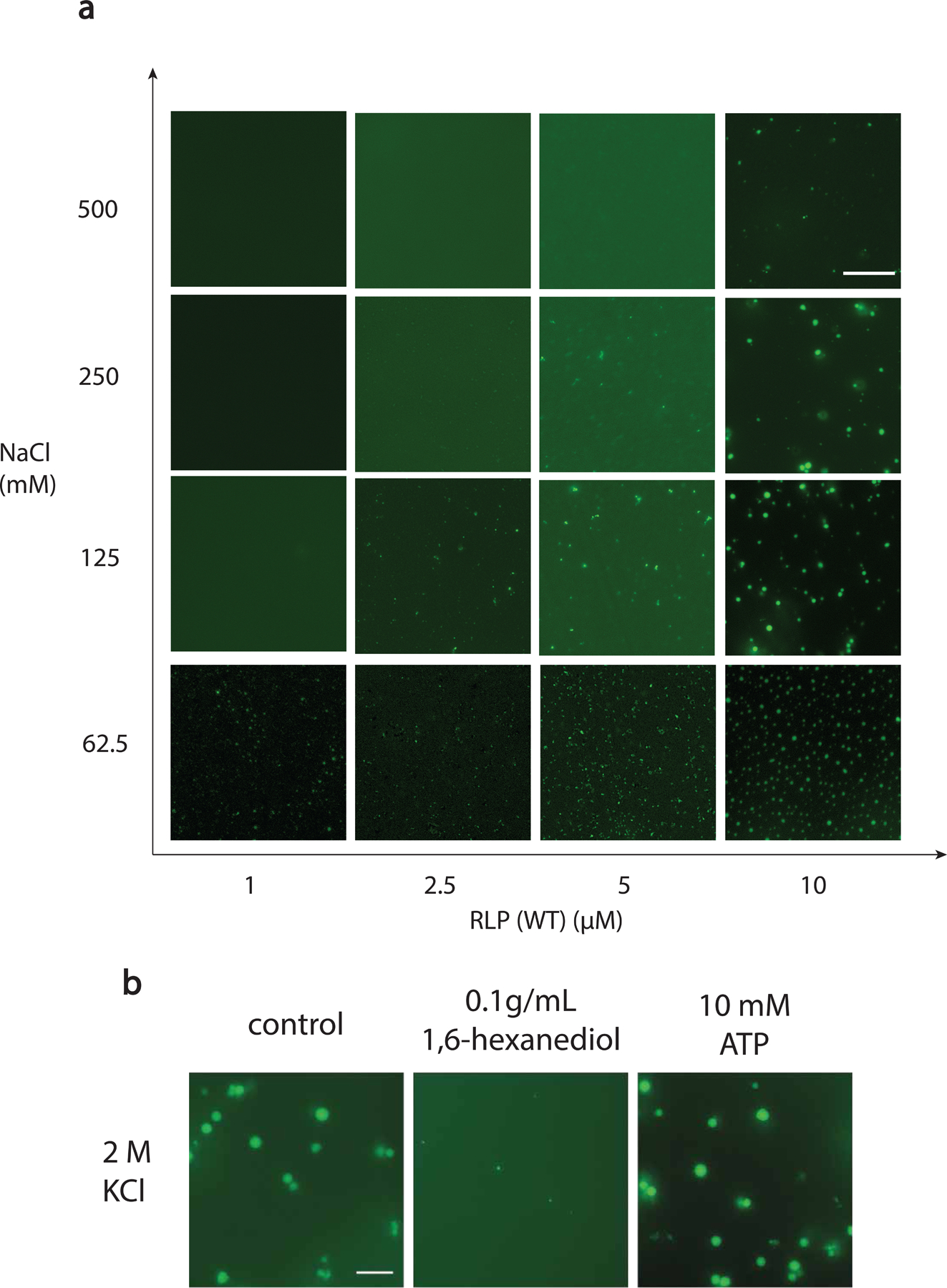 Extended Data Fig 2.