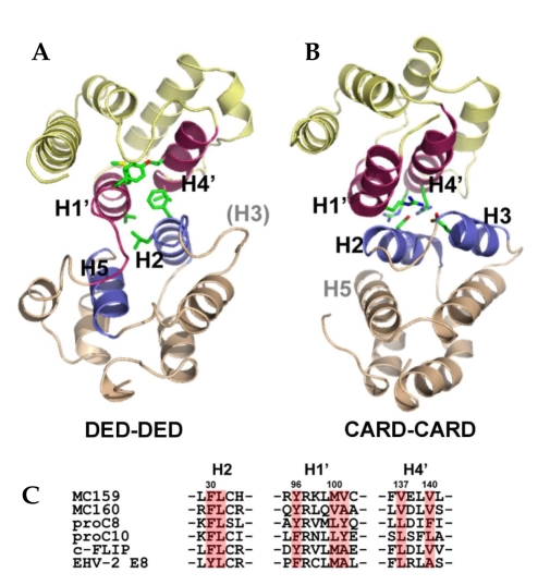 Fig. 3