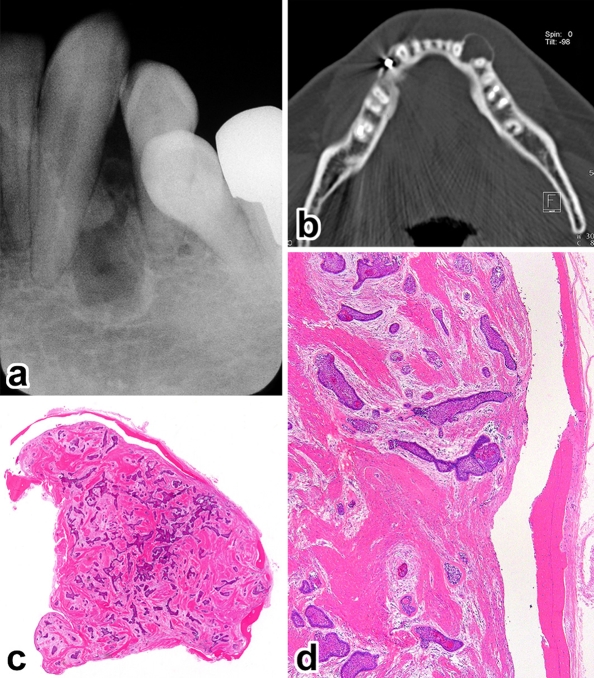 Fig. 5