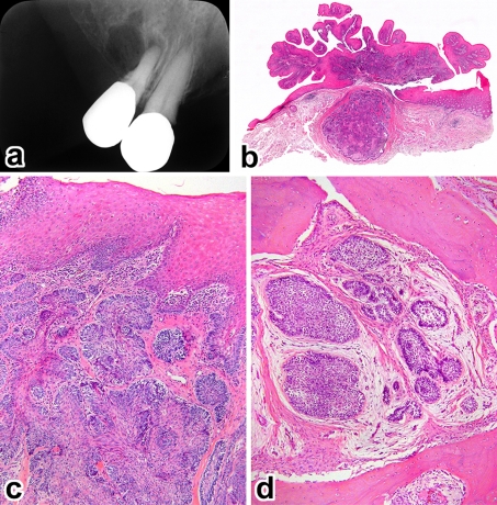 Fig. 3