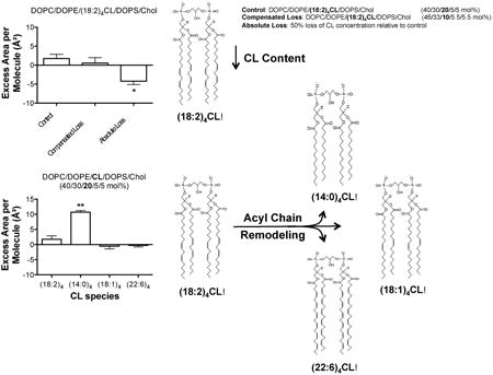 graphic file with name nihms836093u1.jpg