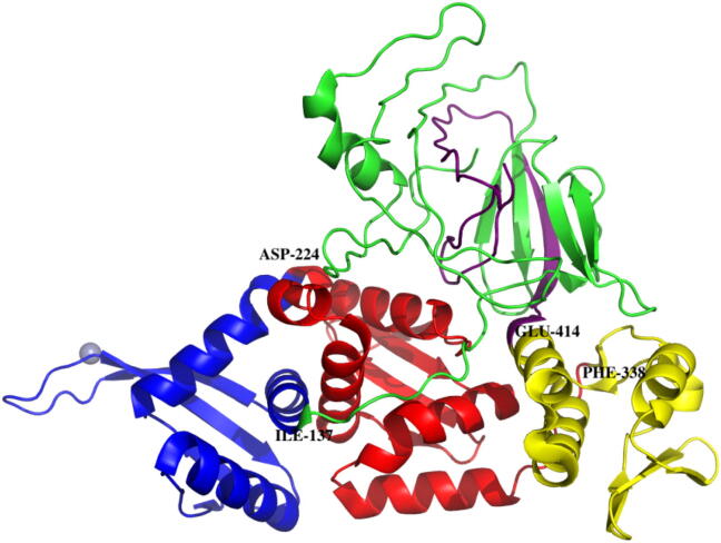 Fig. 1