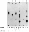 FIG. 5.
