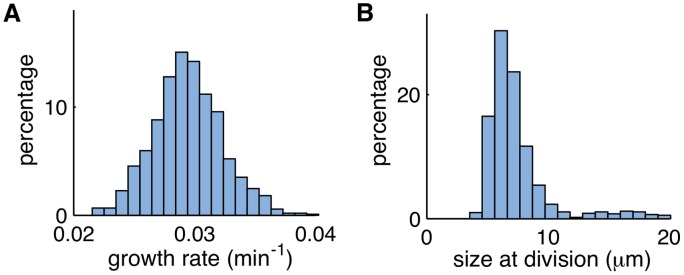 Fig 12