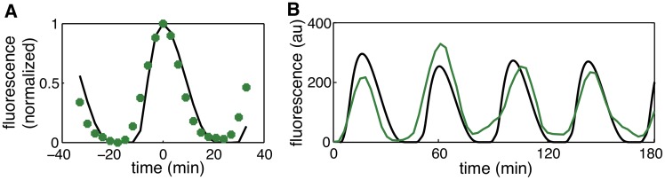 Fig 11