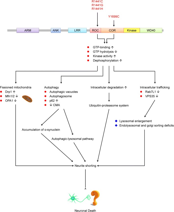 Fig. 2