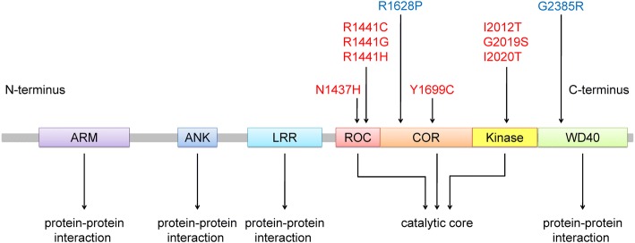 Fig. 1