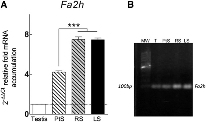 Fig. 8.